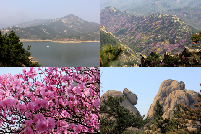 1543919370460627.png image.png