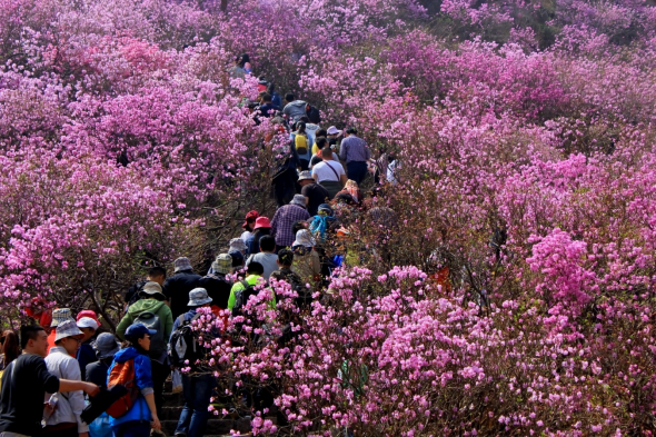 1543919416821662.png image.png